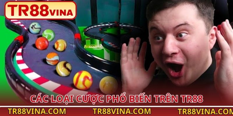 Đua Bi – Trải Nghiệm Giải Trí Nhanh Và Dễ Thắng tại TR88 3 Các loại cược phổ biến trên TR88