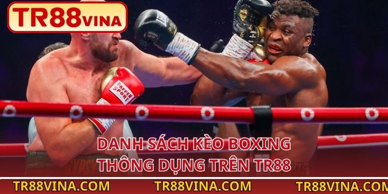 Cá Cược Boxing Tại TR88 VINA – Kèo Cho Người Thích Mạo Hiểm 4 Danh sách kèo boxing thông dụng trên TR88