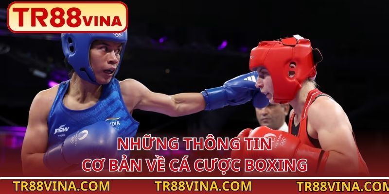 Cá Cược Boxing Tại TR88 VINA – Kèo Cho Người Thích Mạo Hiểm 2 Những thông tin cơ bản về cá cược boxing