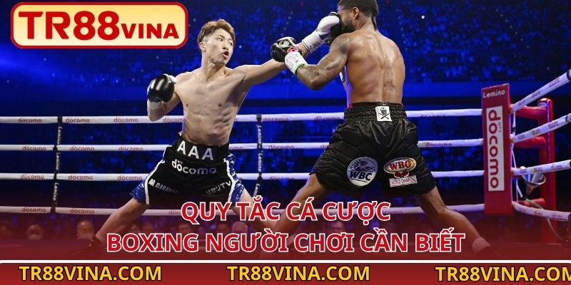 Cá Cược Boxing Tại TR88 VINA – Kèo Cho Người Thích Mạo Hiểm 3 Quy tắc cá cược boxing người chơi cần biết